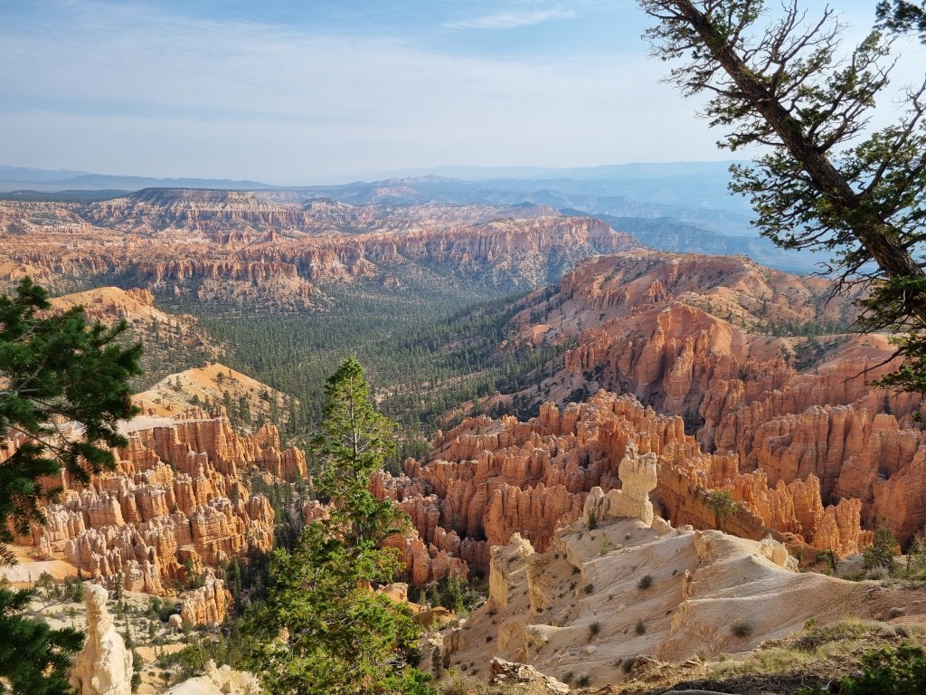 USA National Parks Road Trip: Salt Lake City to Las&nbsp;Vegas